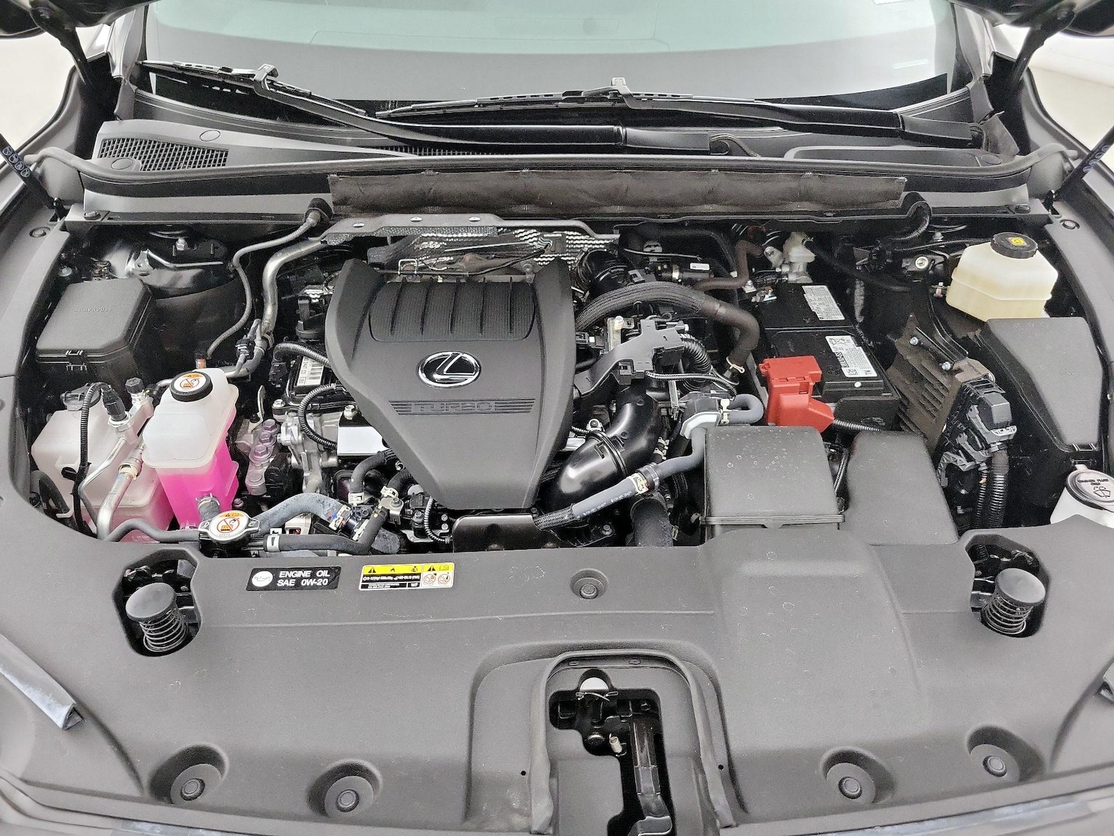2025 Lexus RX 350 - Photo 23
