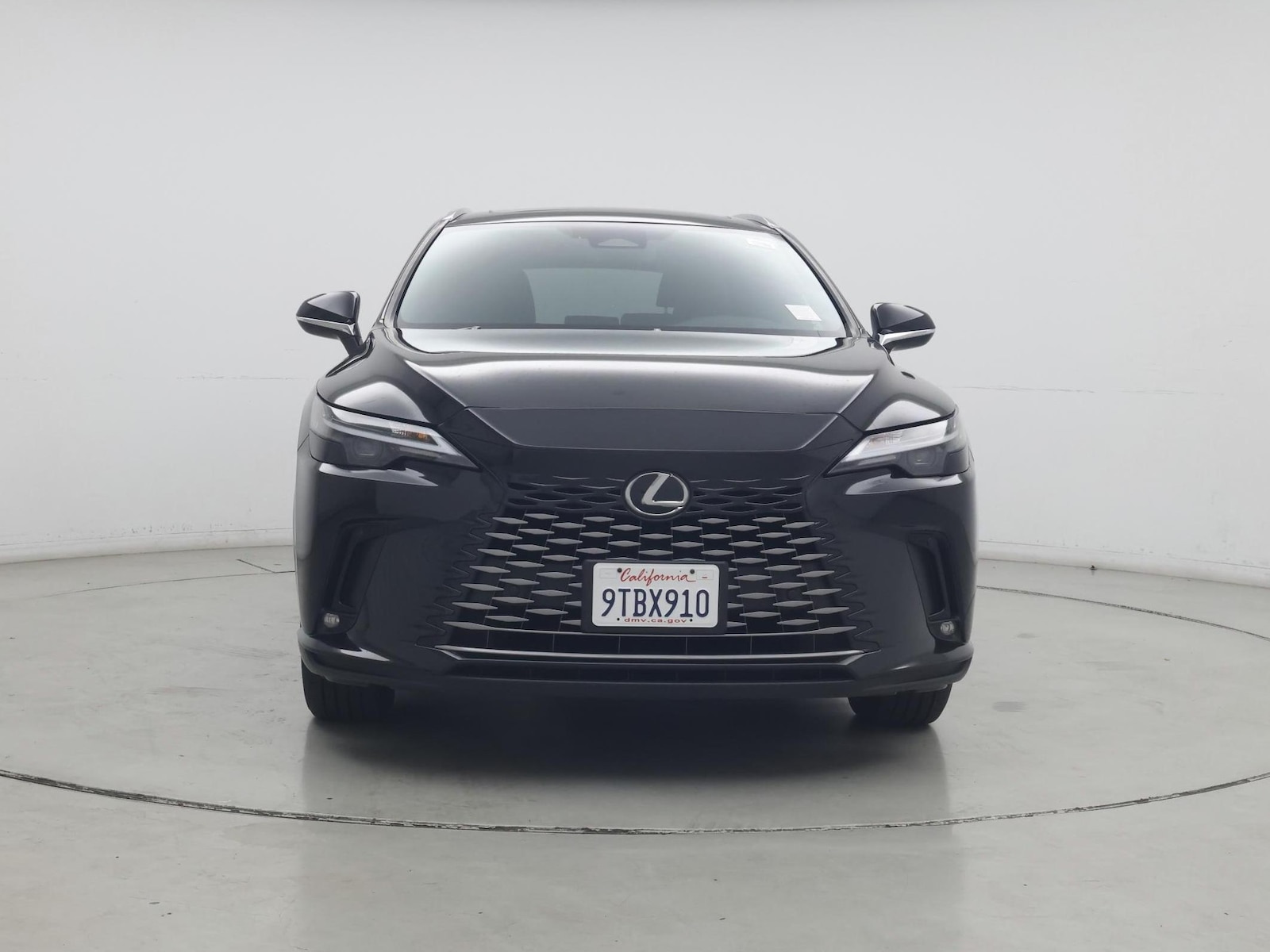 2025 Lexus RX 350 - Photo 6