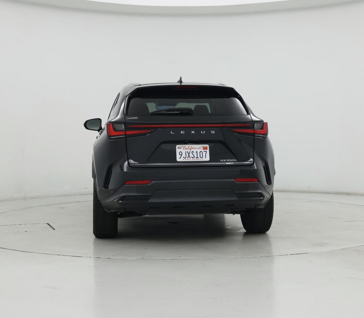 Rear