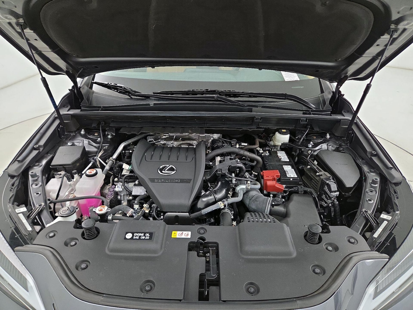 2024 Lexus NX 350 - Photo 24