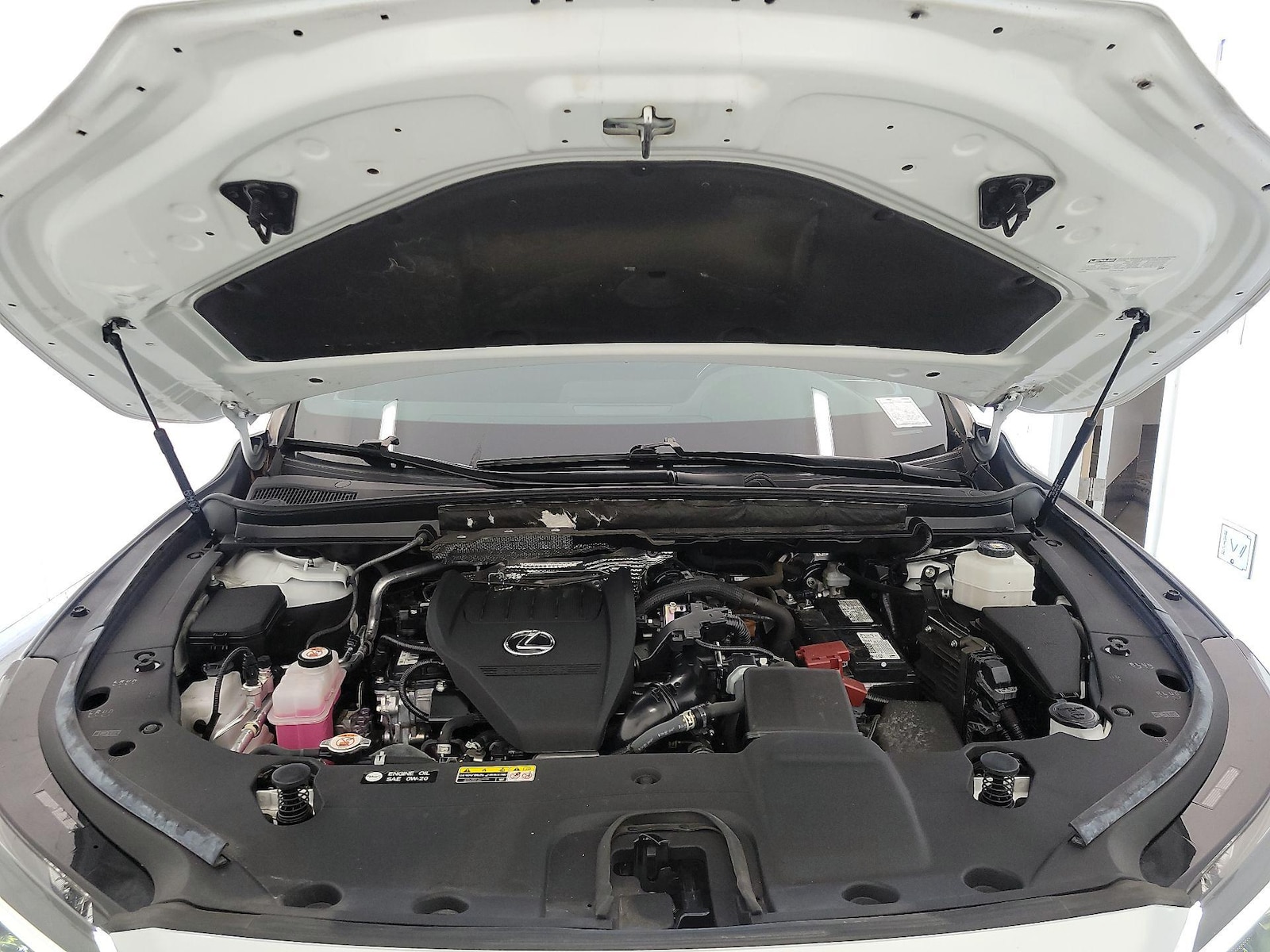 2024 Lexus RX 350 - Photo 22