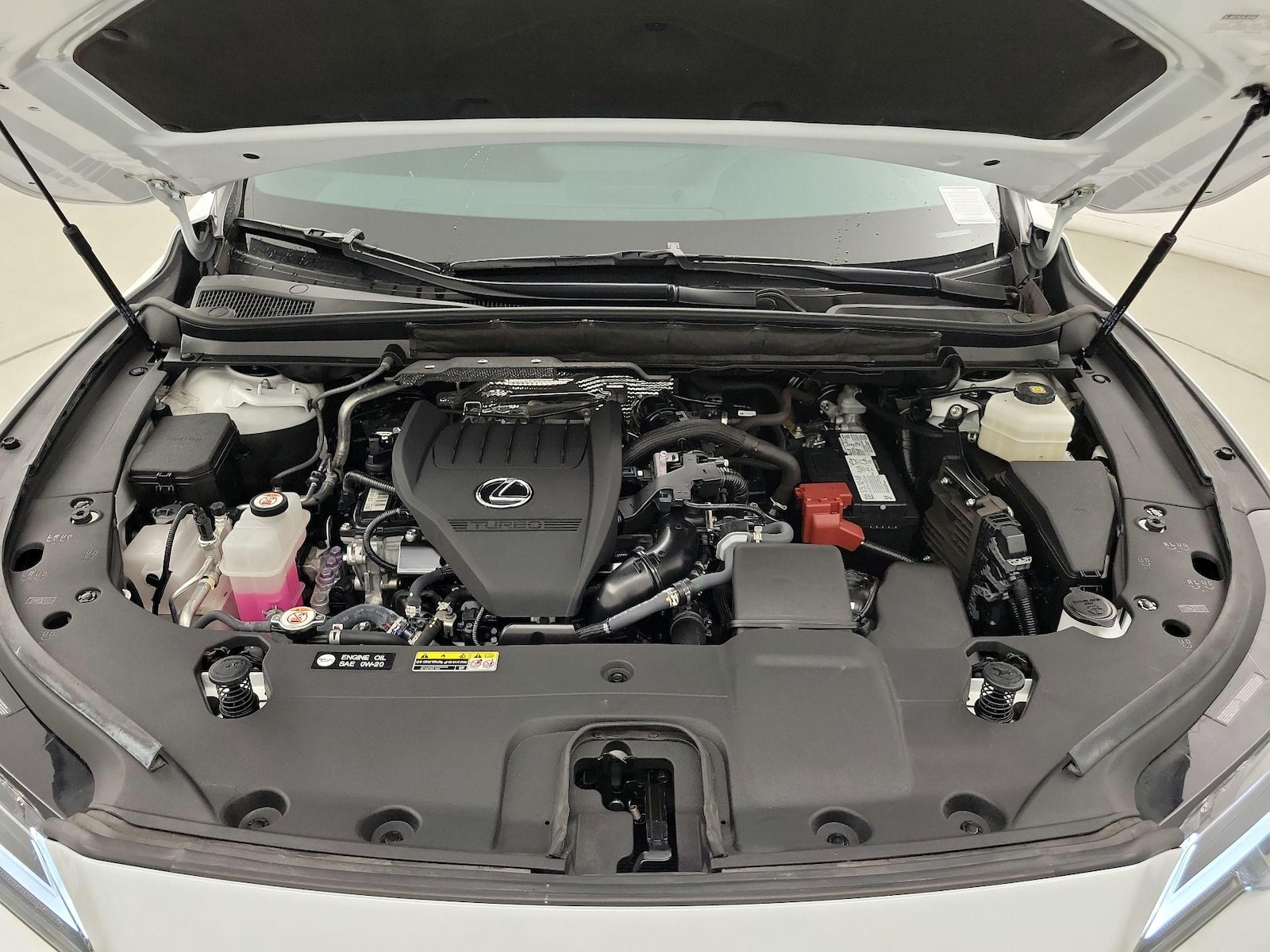 2024 Lexus RX 350 - Photo 24