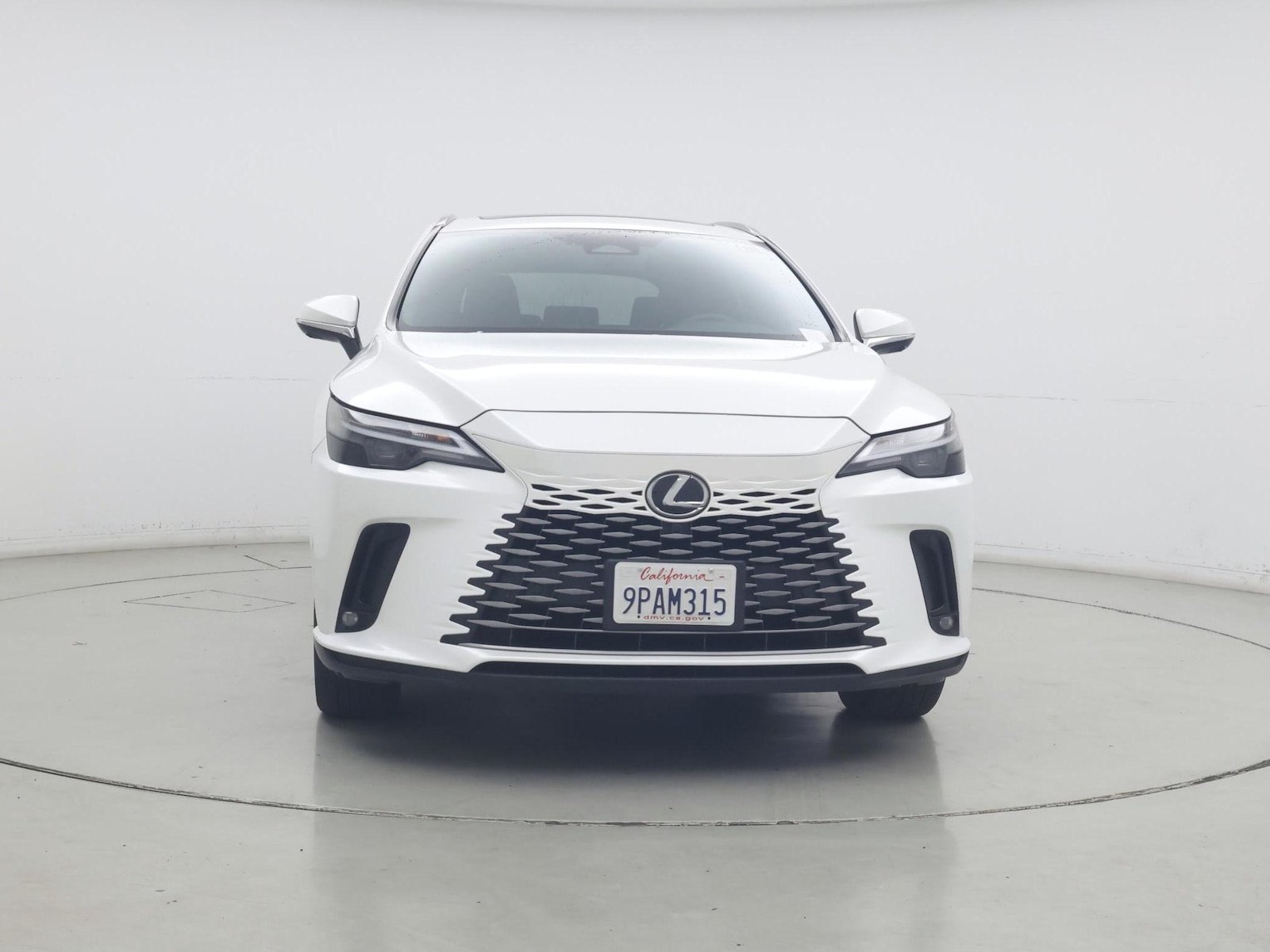 2024 Lexus RX 350 - Photo 6
