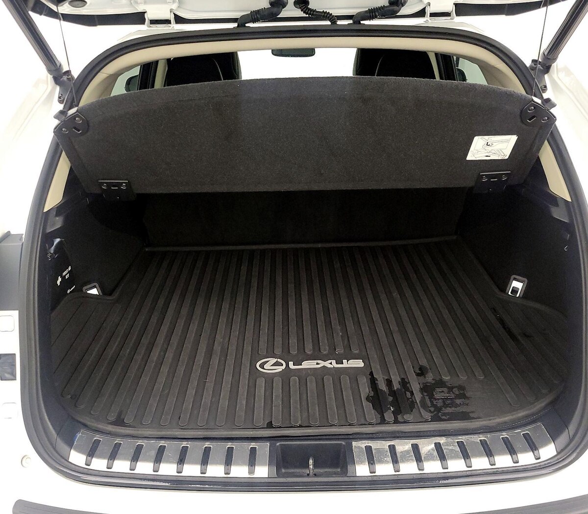 Trunk/Cargo (Seats Up)
