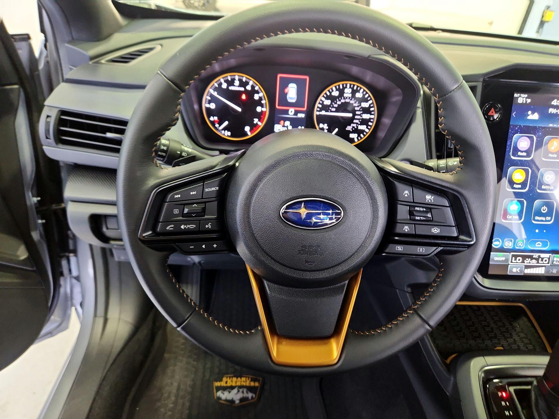 Thumbnail: 2025 Subaru Crosstrek - 10