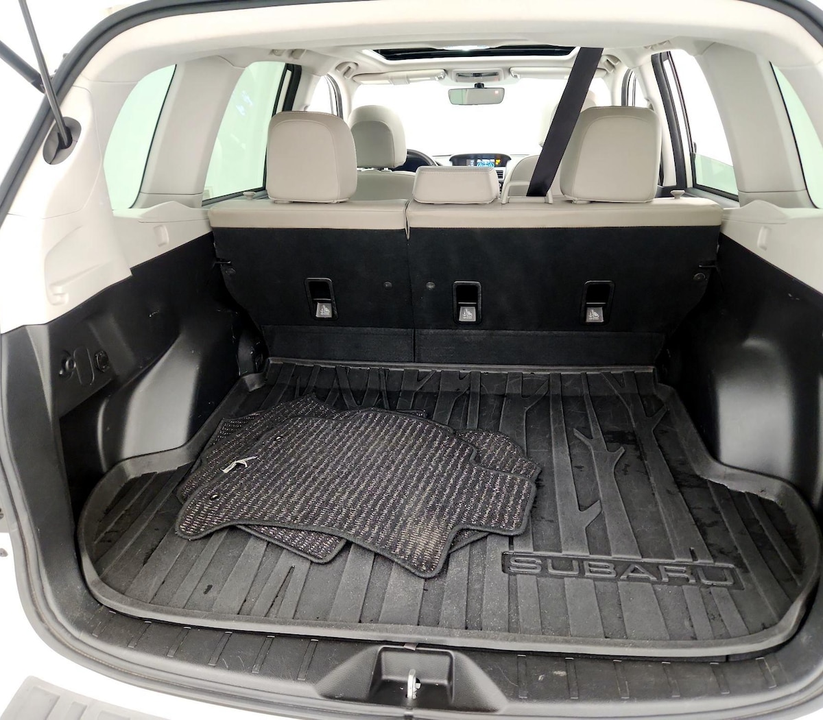 Trunk/Cargo (Seats Up)