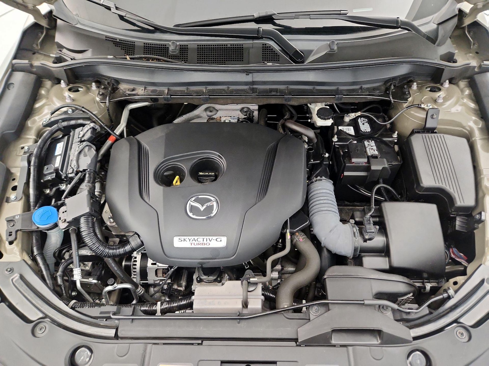 2024 Mazda CX-5 Carbon Turbo - Photo 21