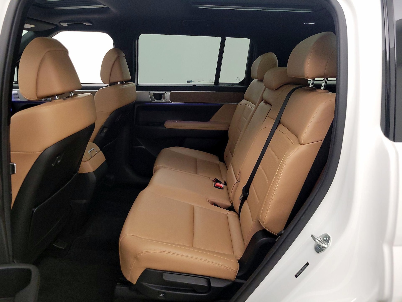 2024 Hyundai Santa Fe Limited - Photo 22