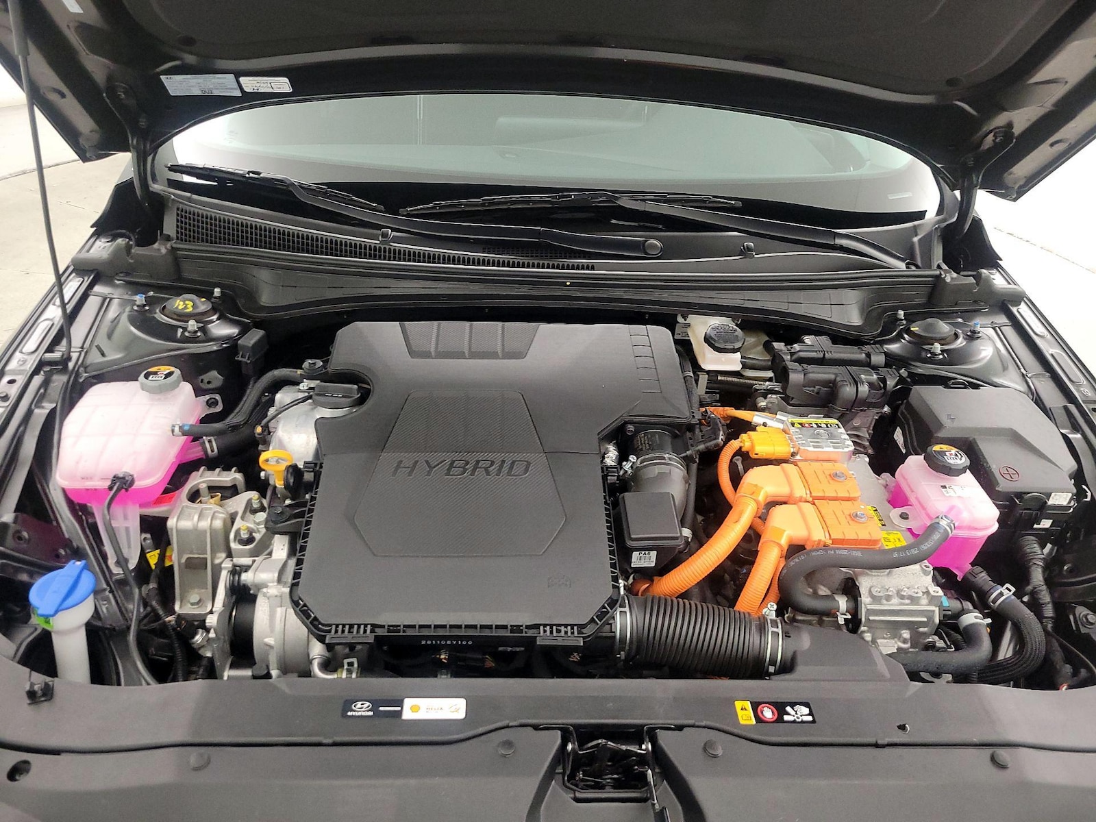 2025 Hyundai Elantra Blue - Photo 22