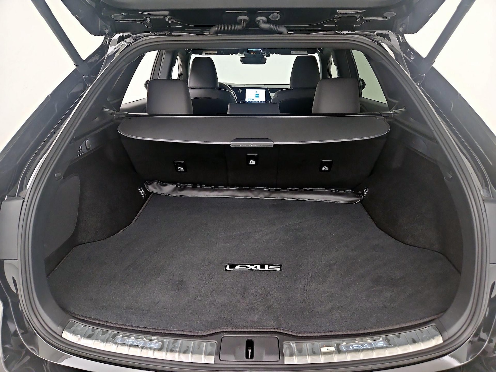2025 Lexus RX 350 - Photo 21