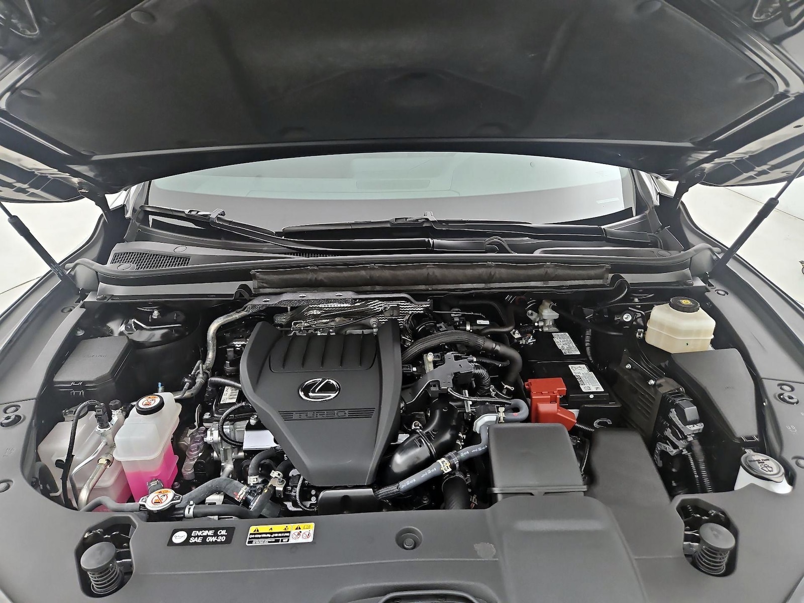 2025 Lexus RX 350 - Photo 22
