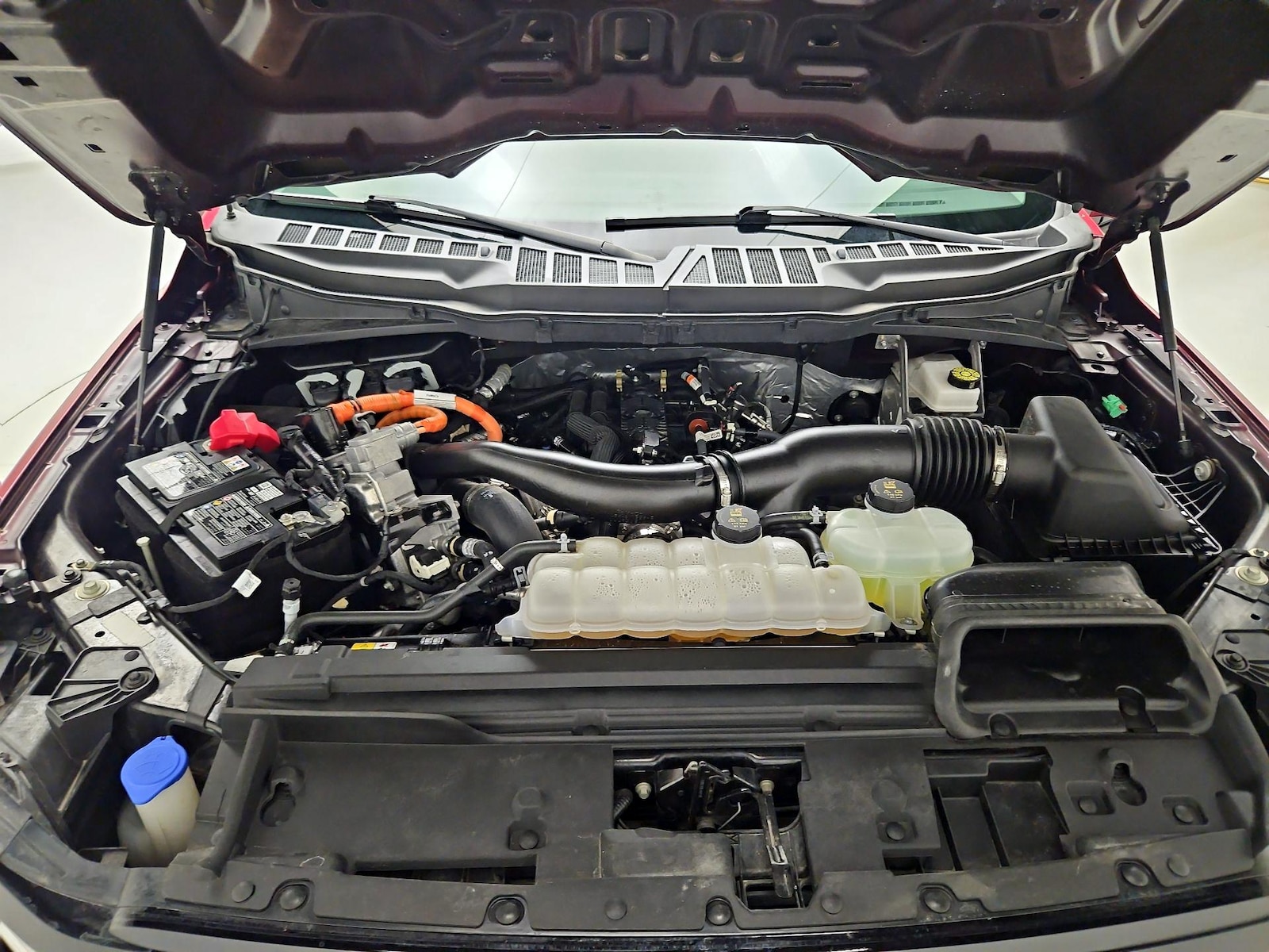 Photo 20