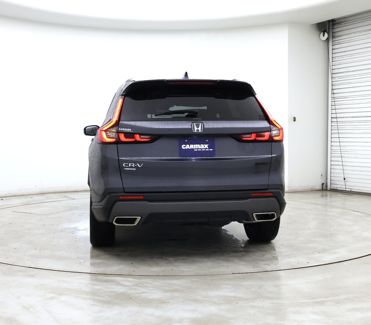 Rear
