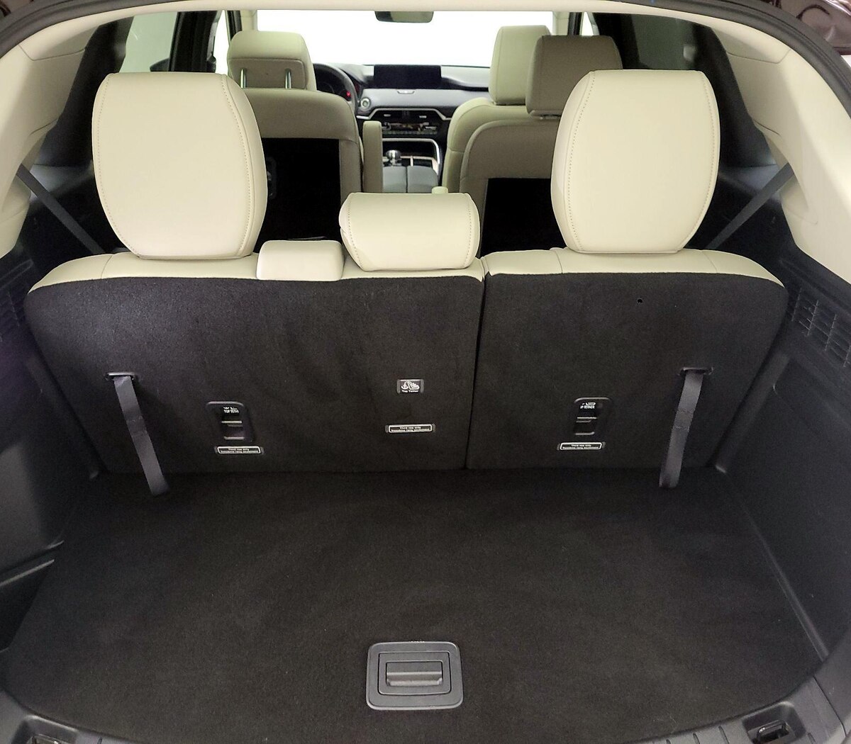 Trunk/Cargo (Seats Up)