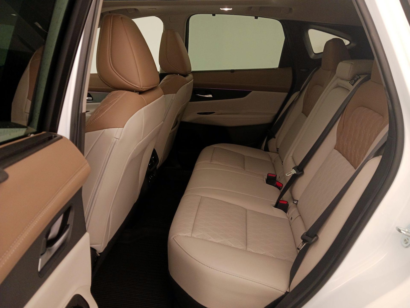2025 Nissan Murano Platinum - Photo 22