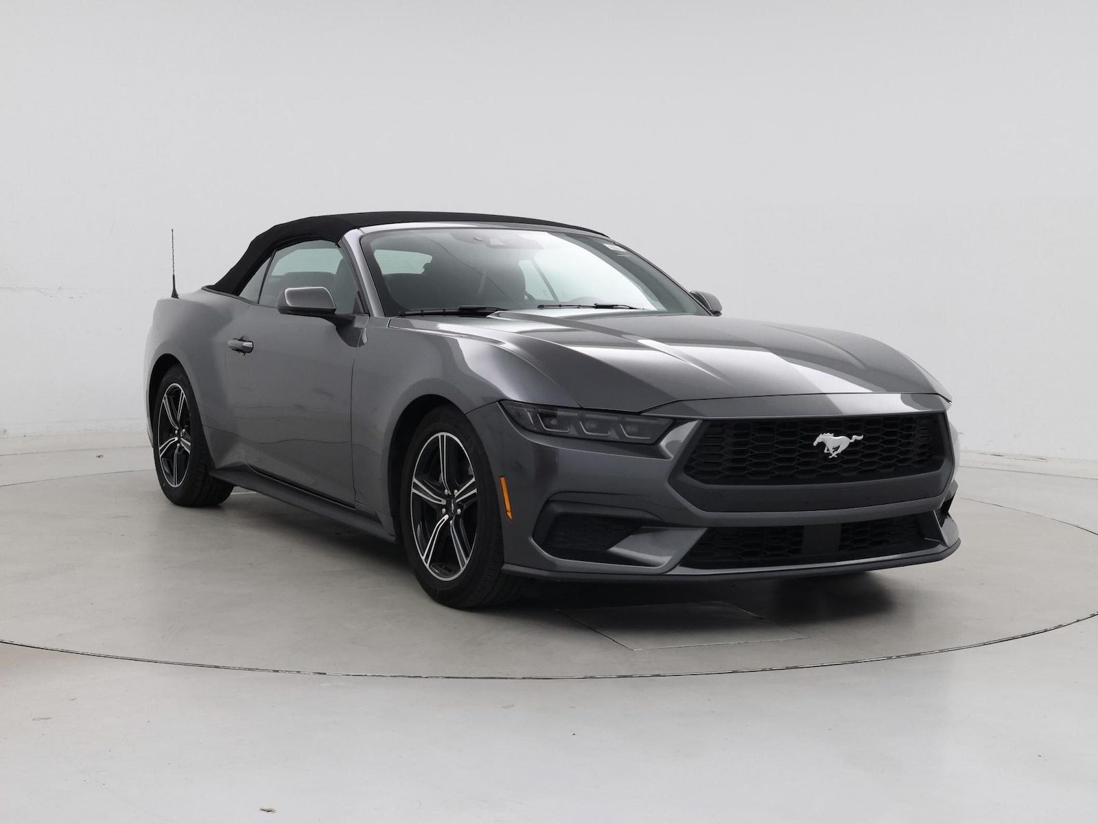 2025 Ford Mustang EcoBoost Premium - Photo 2