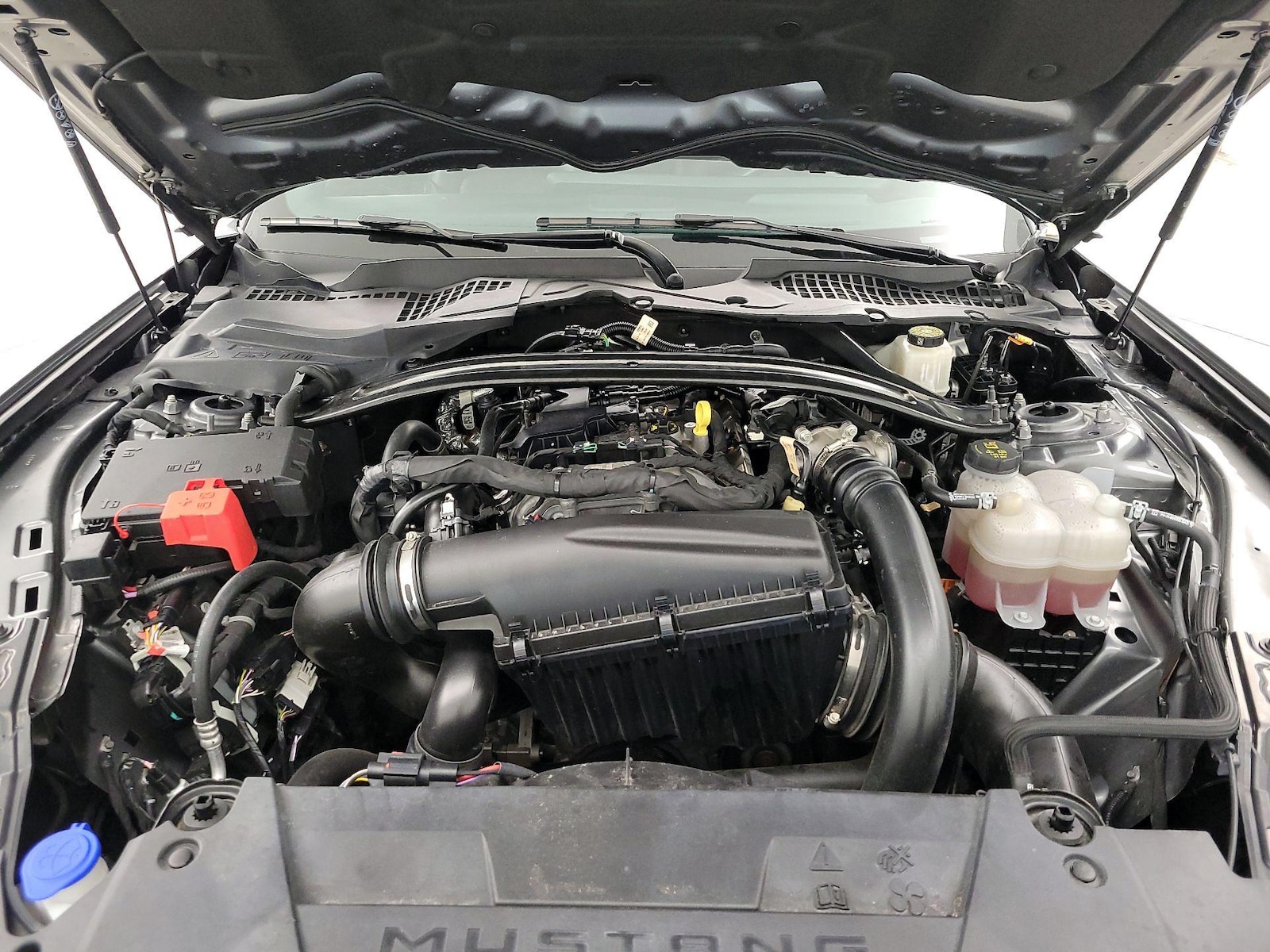 2025 Ford Mustang EcoBoost Premium - Photo 22