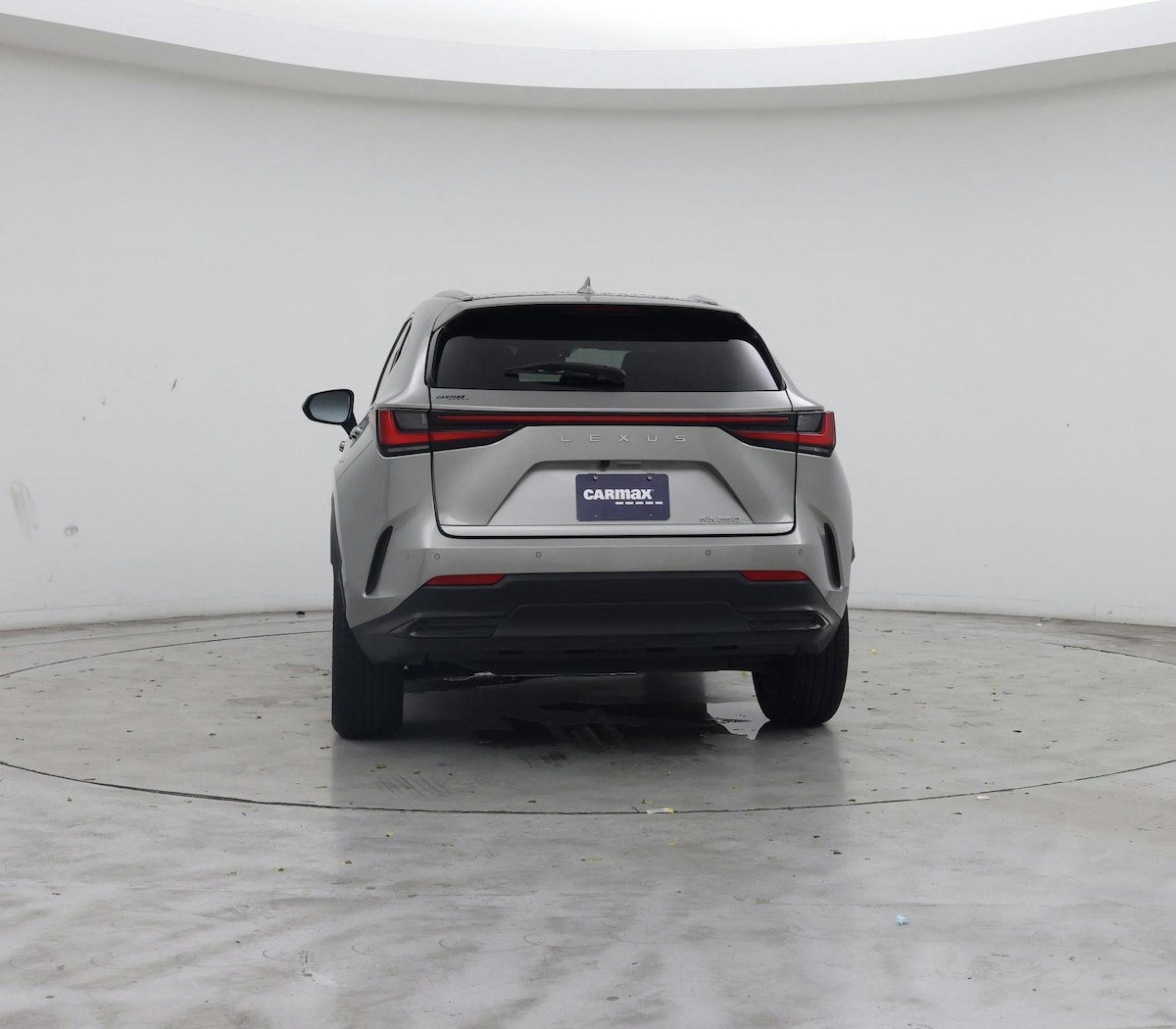 Rear