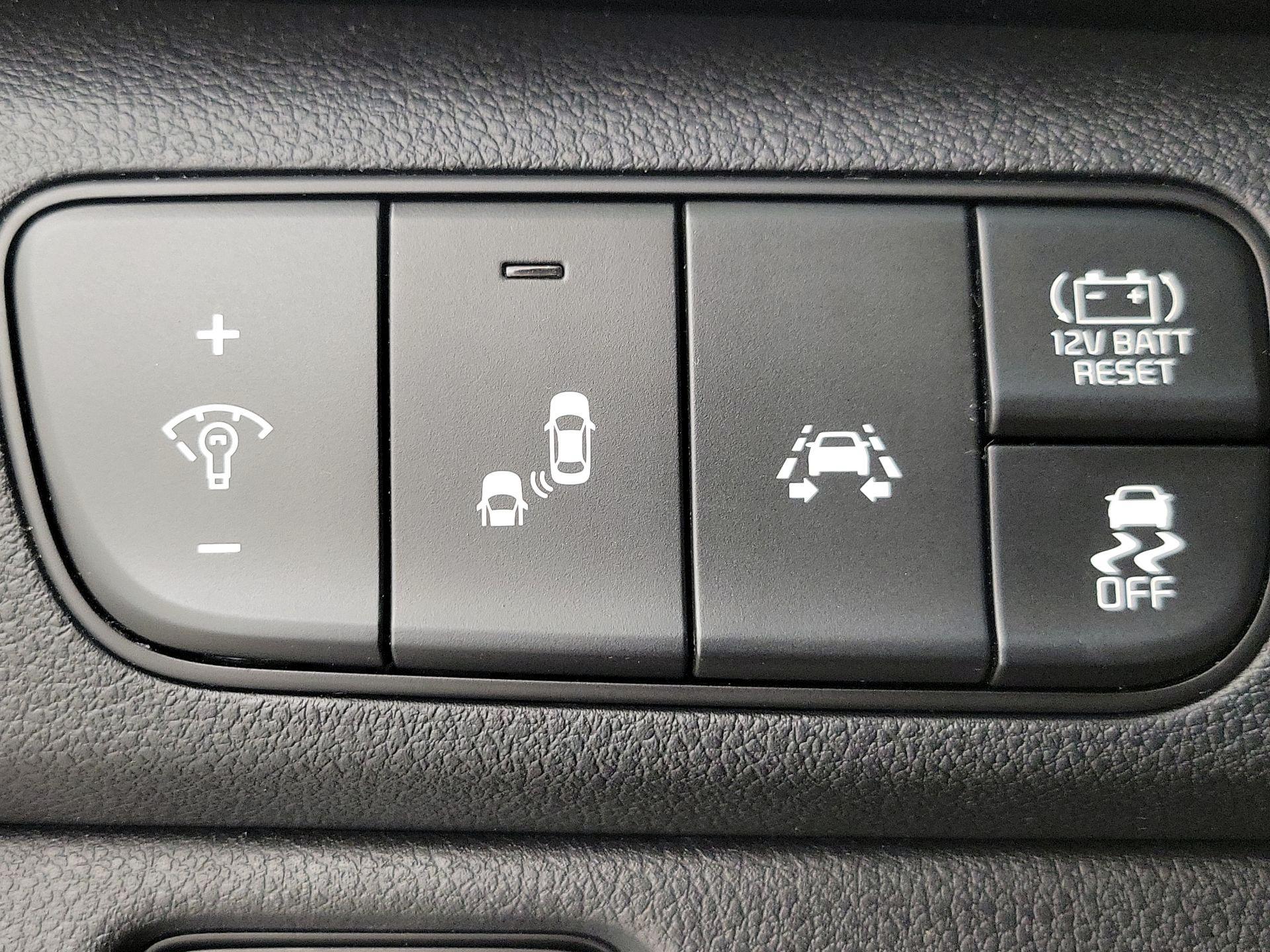 Thumbnail: 2019 Kia Niro - 13