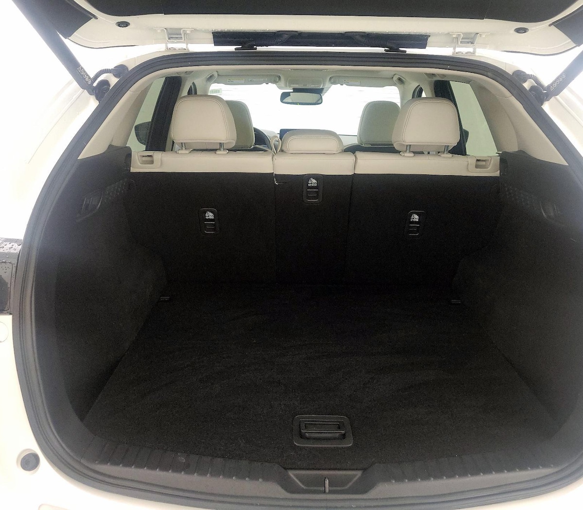 Trunk/Cargo (Seats Up)