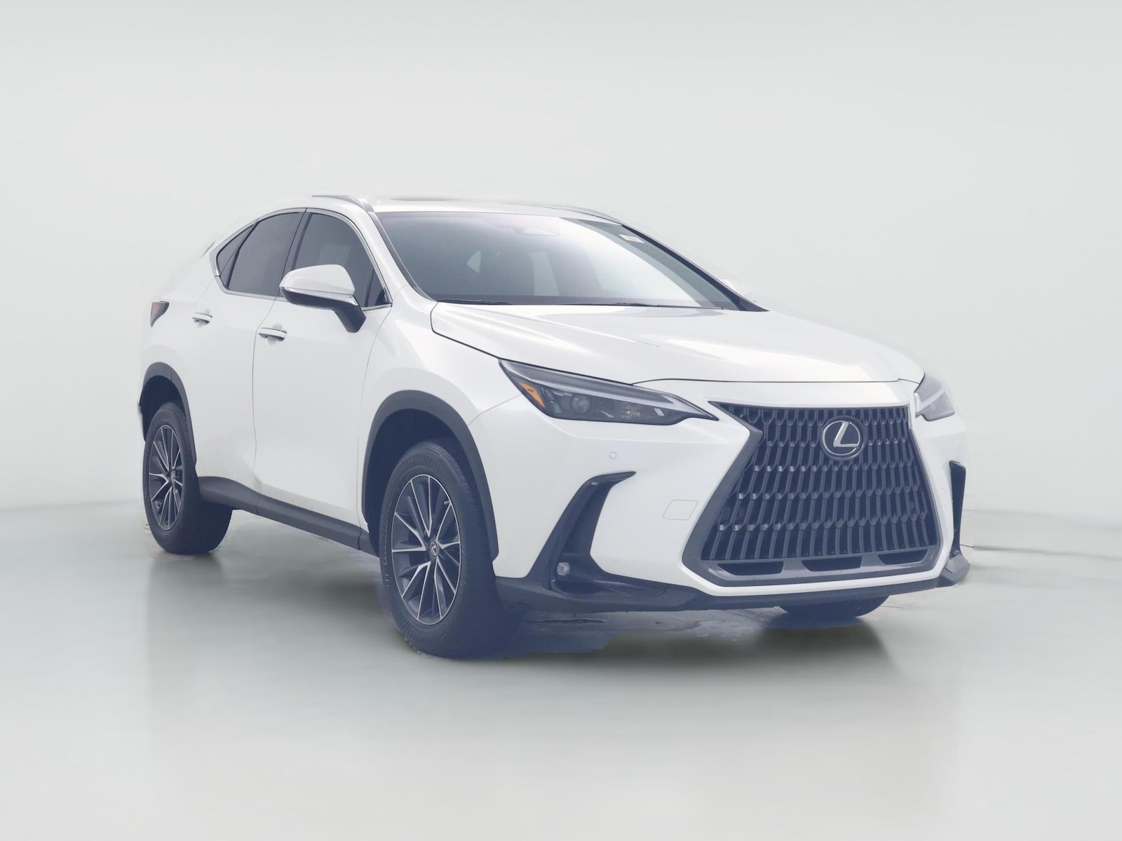 2023 Lexus NX
