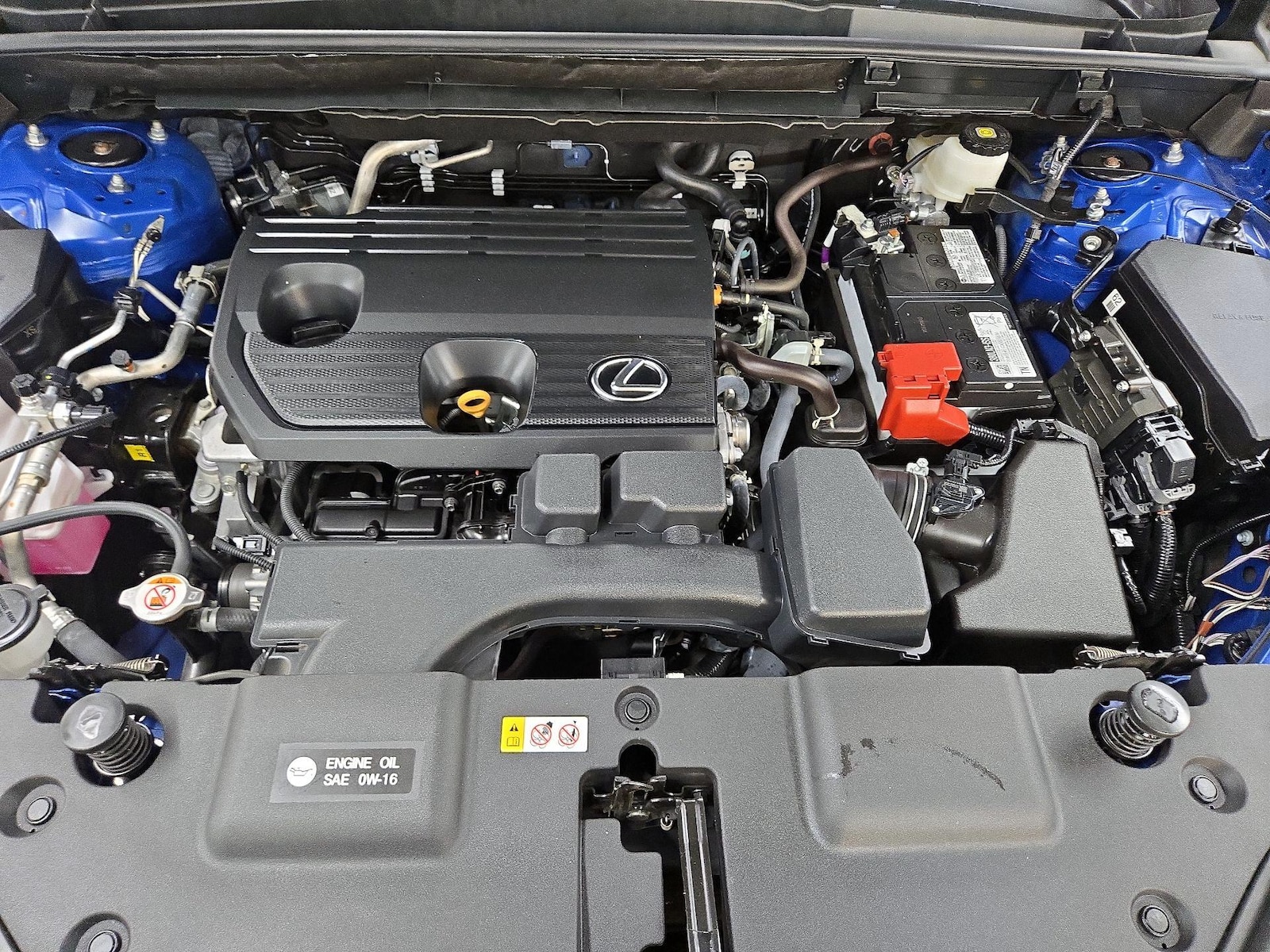 2025 Lexus NX 250 - Photo 22