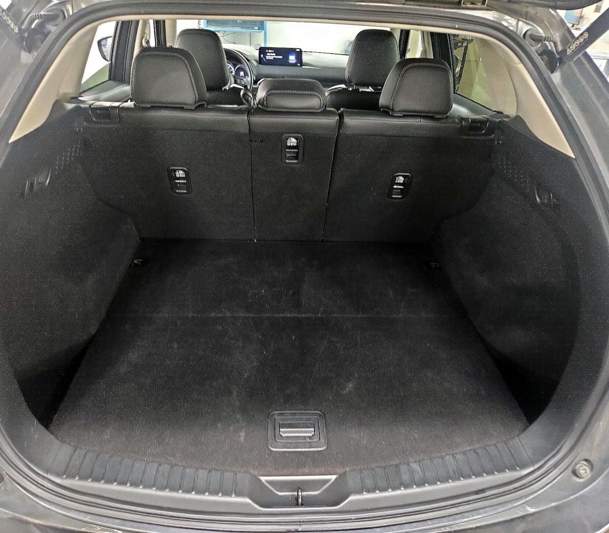Trunk/Cargo (Seats Up)