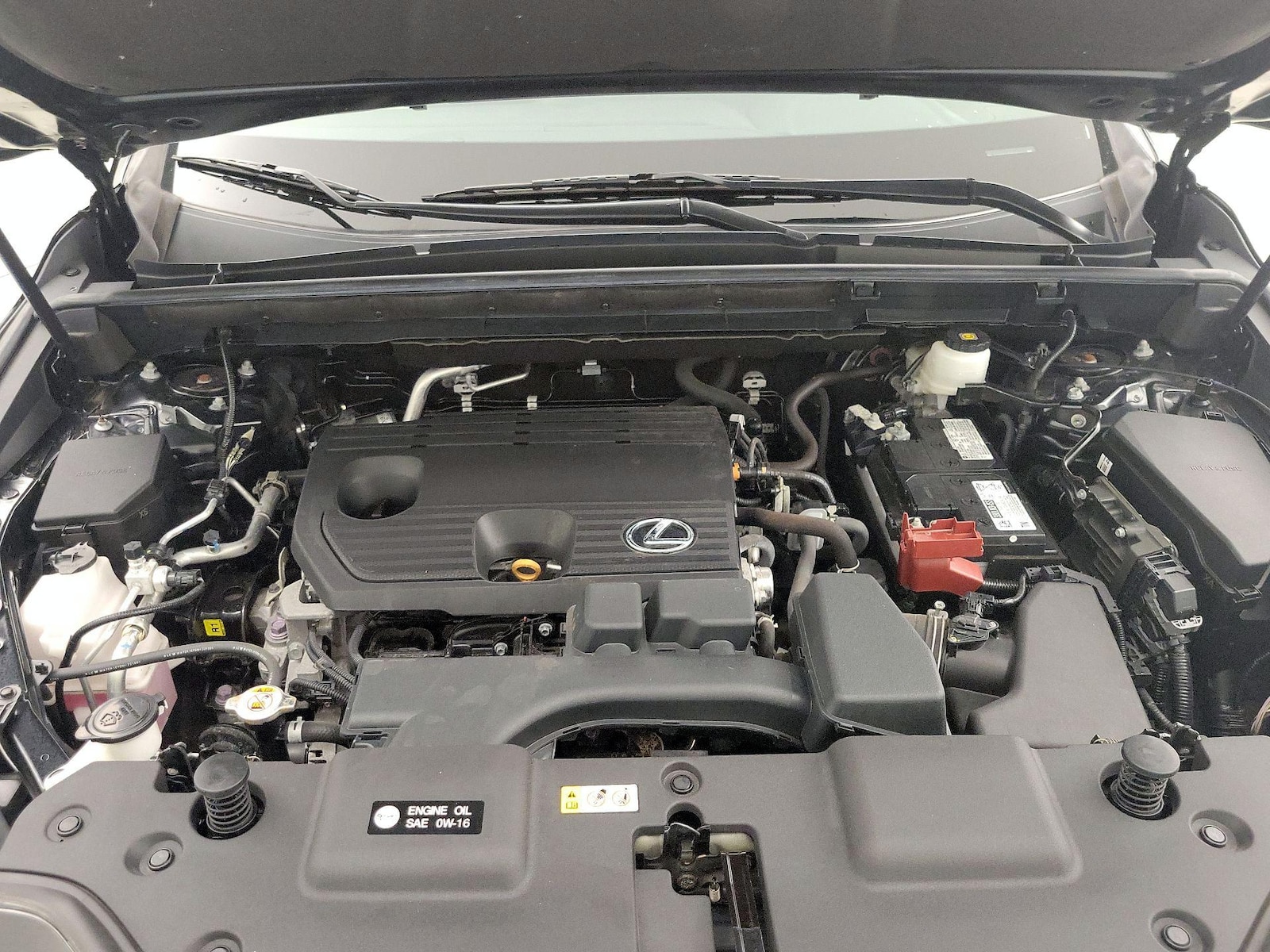 2024 Lexus NX 250 - Photo 23