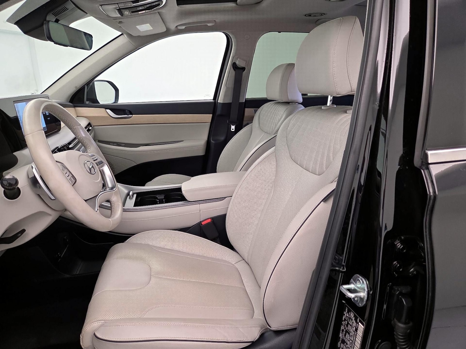 2025 Hyundai Palisade Limited - Photo 12