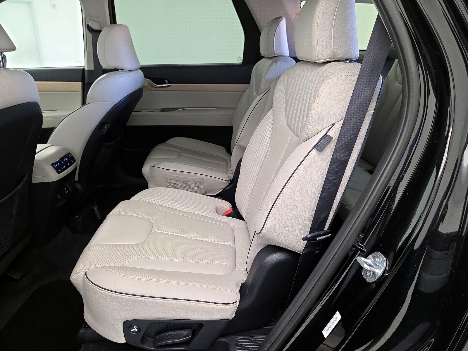 2025 Hyundai Palisade Limited - Photo 22