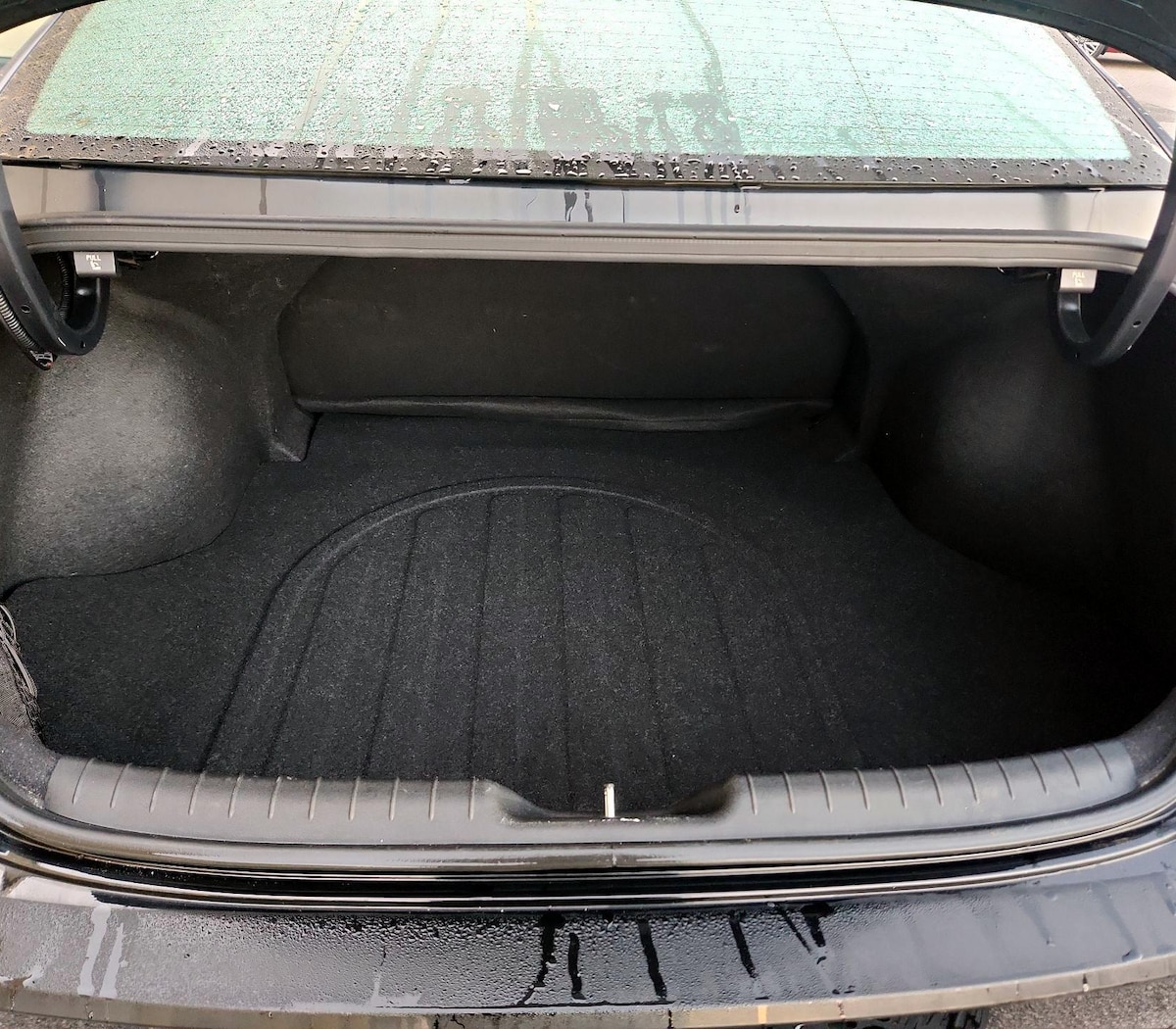 Trunk/Cargo (Seats Up)