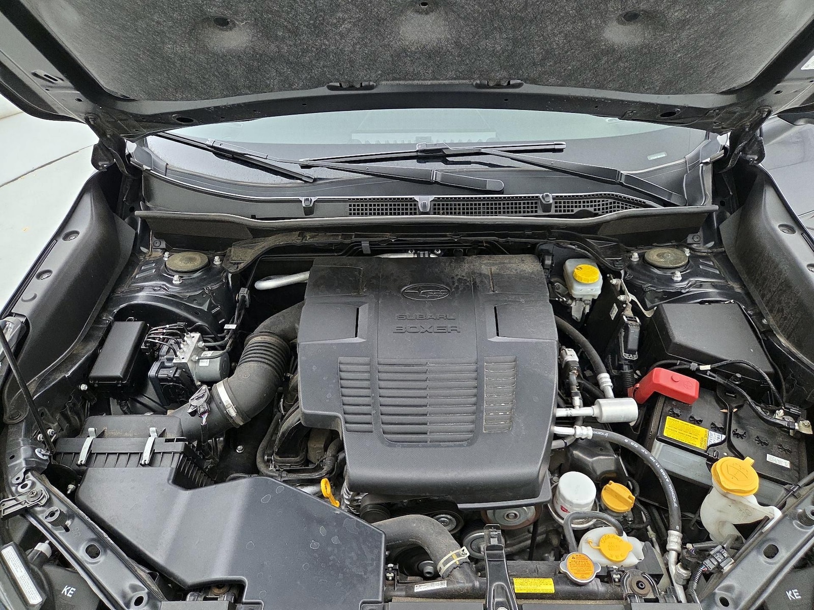2022 Subaru Forester Wilderness - Photo 24