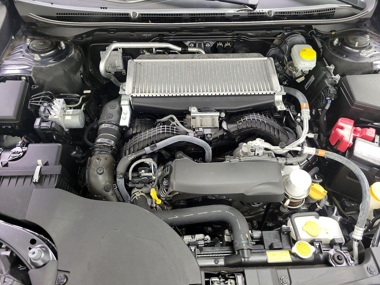 2025 Subaru Outback Wilderness - Photo 24