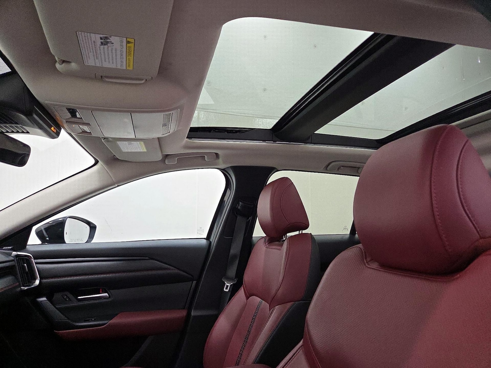 Panoramic Sunroof