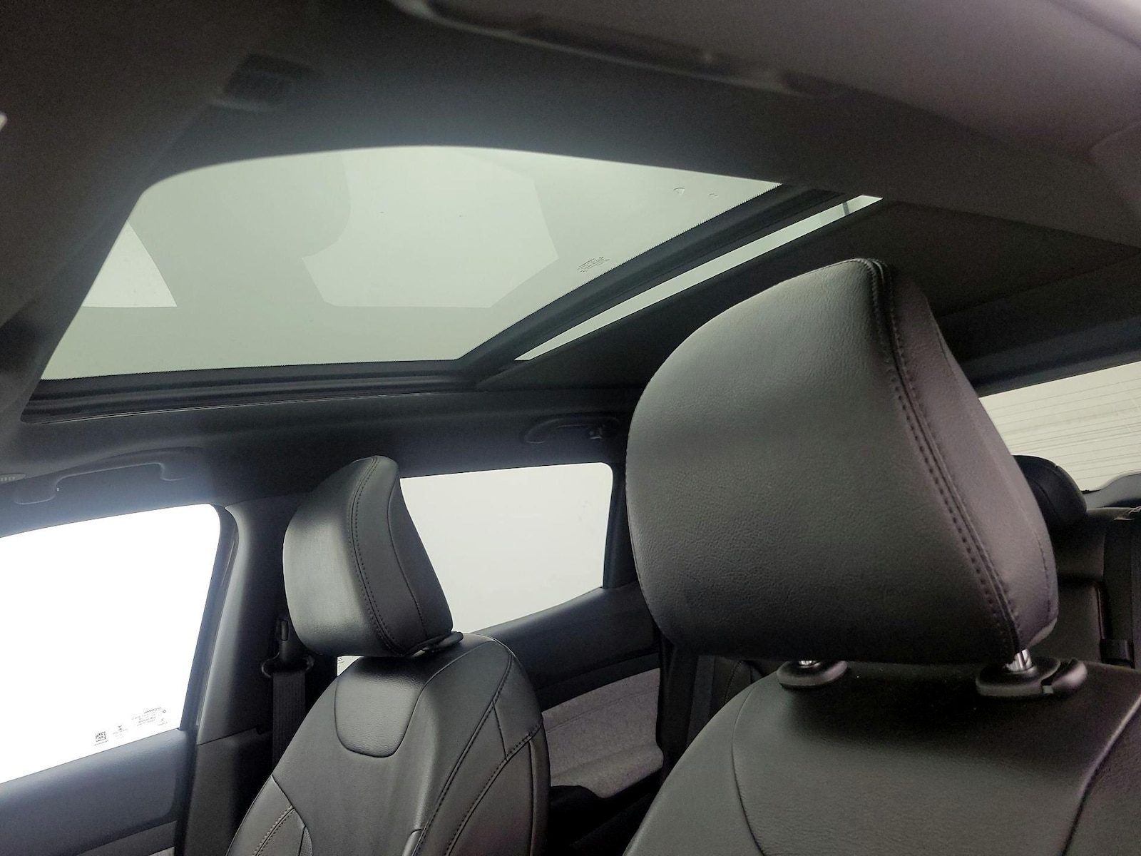 Panoramic Sunroof