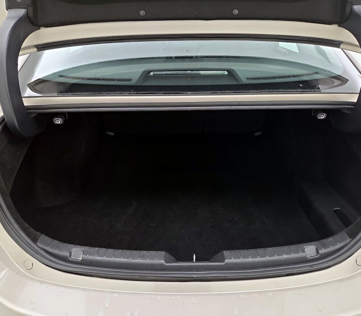 Trunk/Cargo (Seats Up)