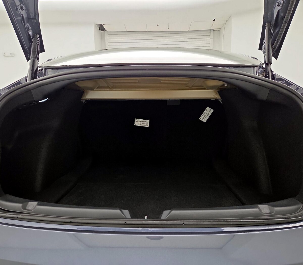Trunk/Cargo (Seats Up)