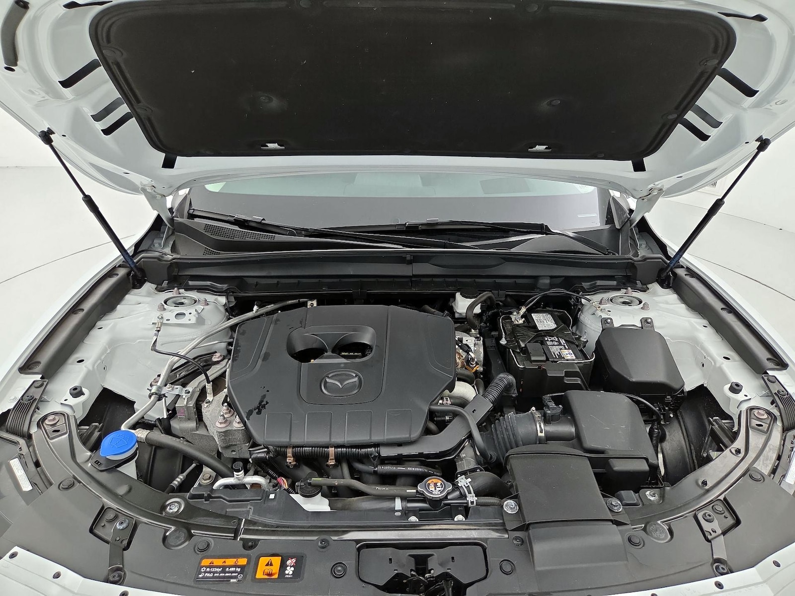 Photo 23