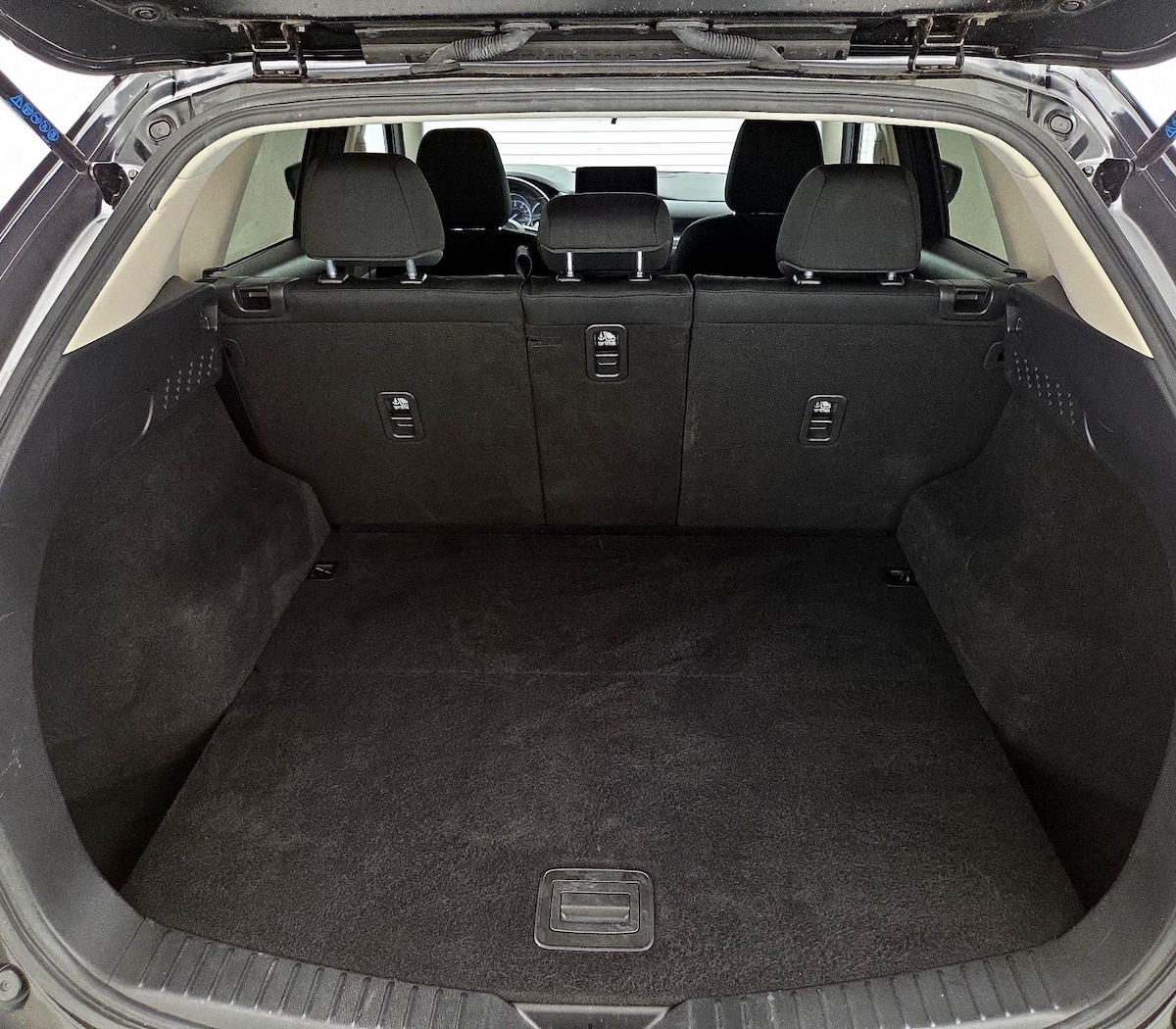 Trunk/Cargo (Seats Up)