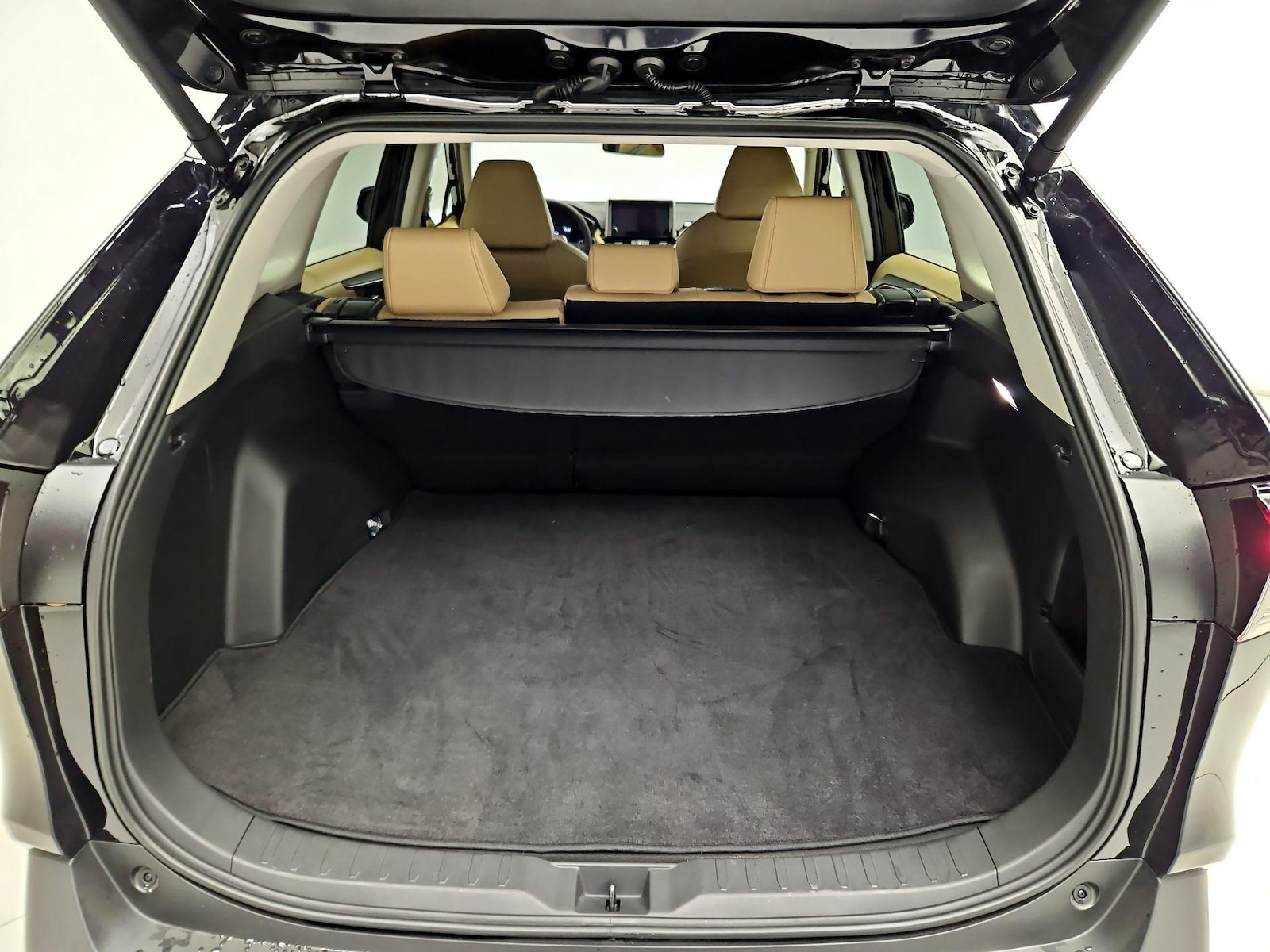 2025 Toyota RAV4 XLE Premium - Photo 19