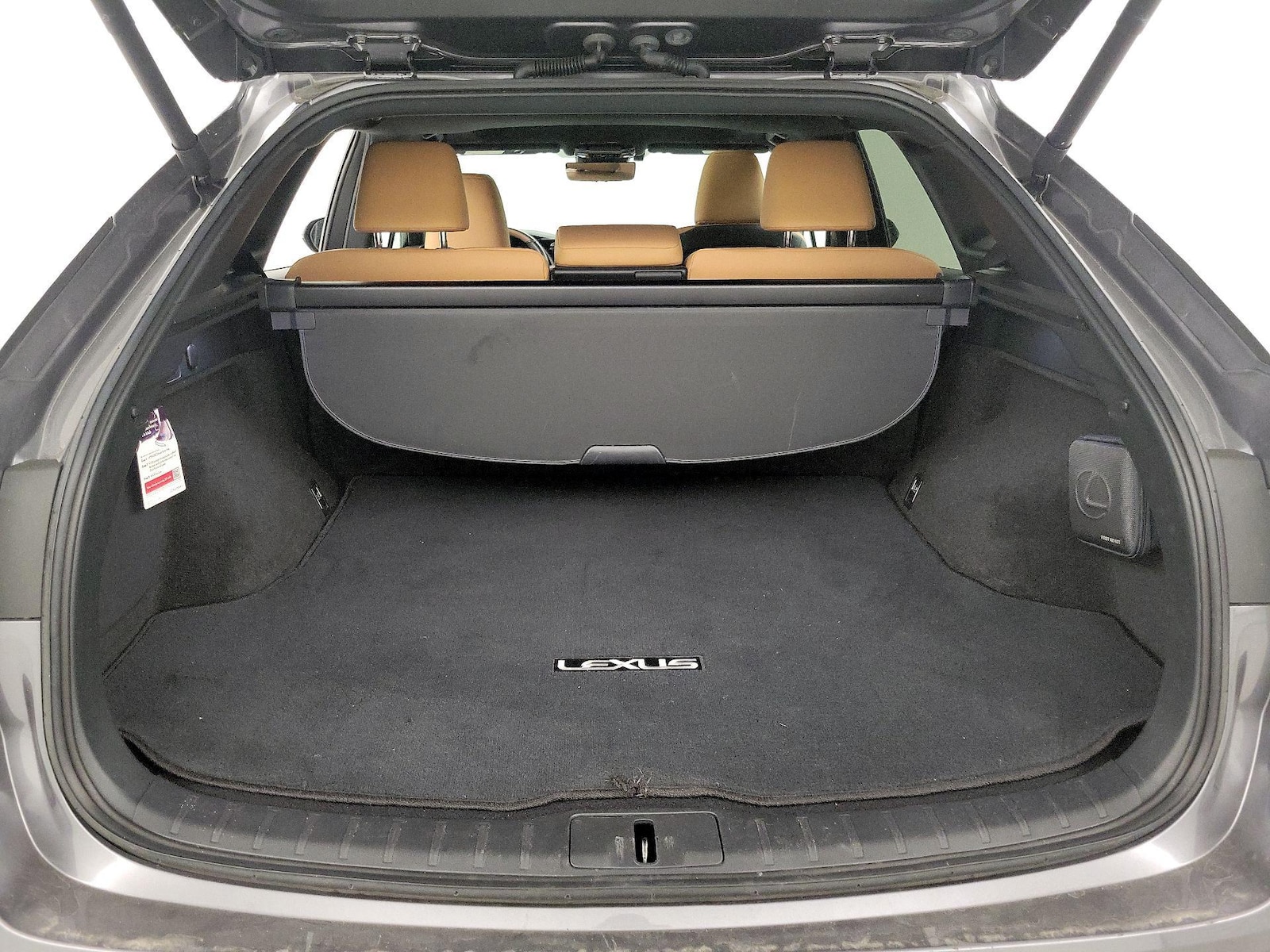 2023 Lexus RX 350 - Photo 22