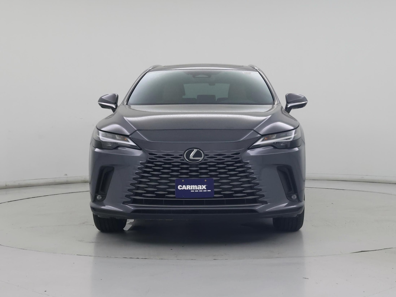 2023 Lexus RX 350 - Photo 6