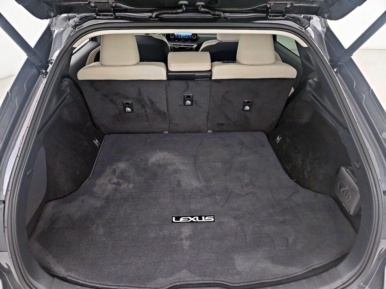 2024 Lexus RX 350 - Photo 21