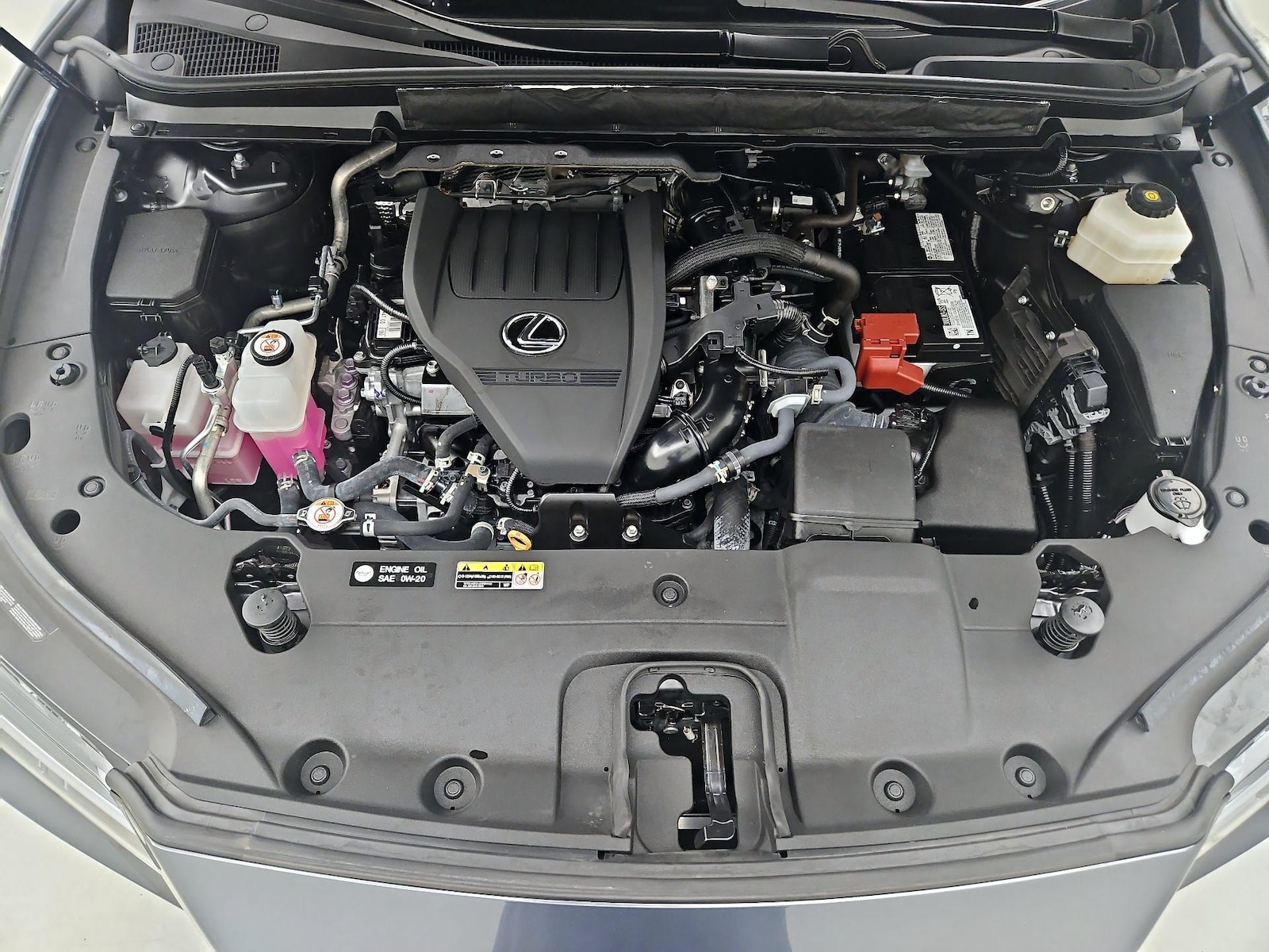 2024 Lexus RX 350 - Photo 22