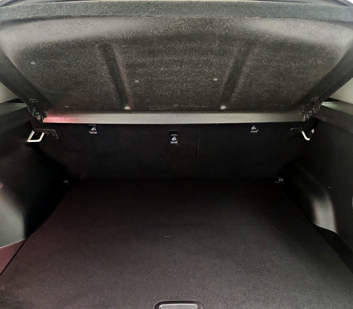 Trunk/Cargo (Seats Up)