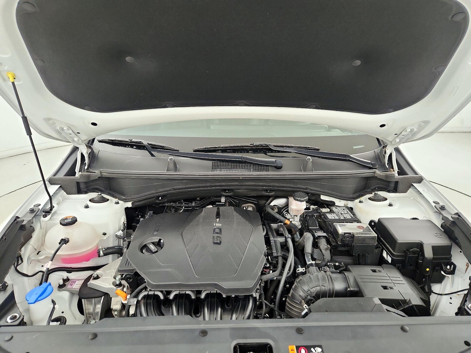 2025 Kia Sportage SX Prestige - Photo 24