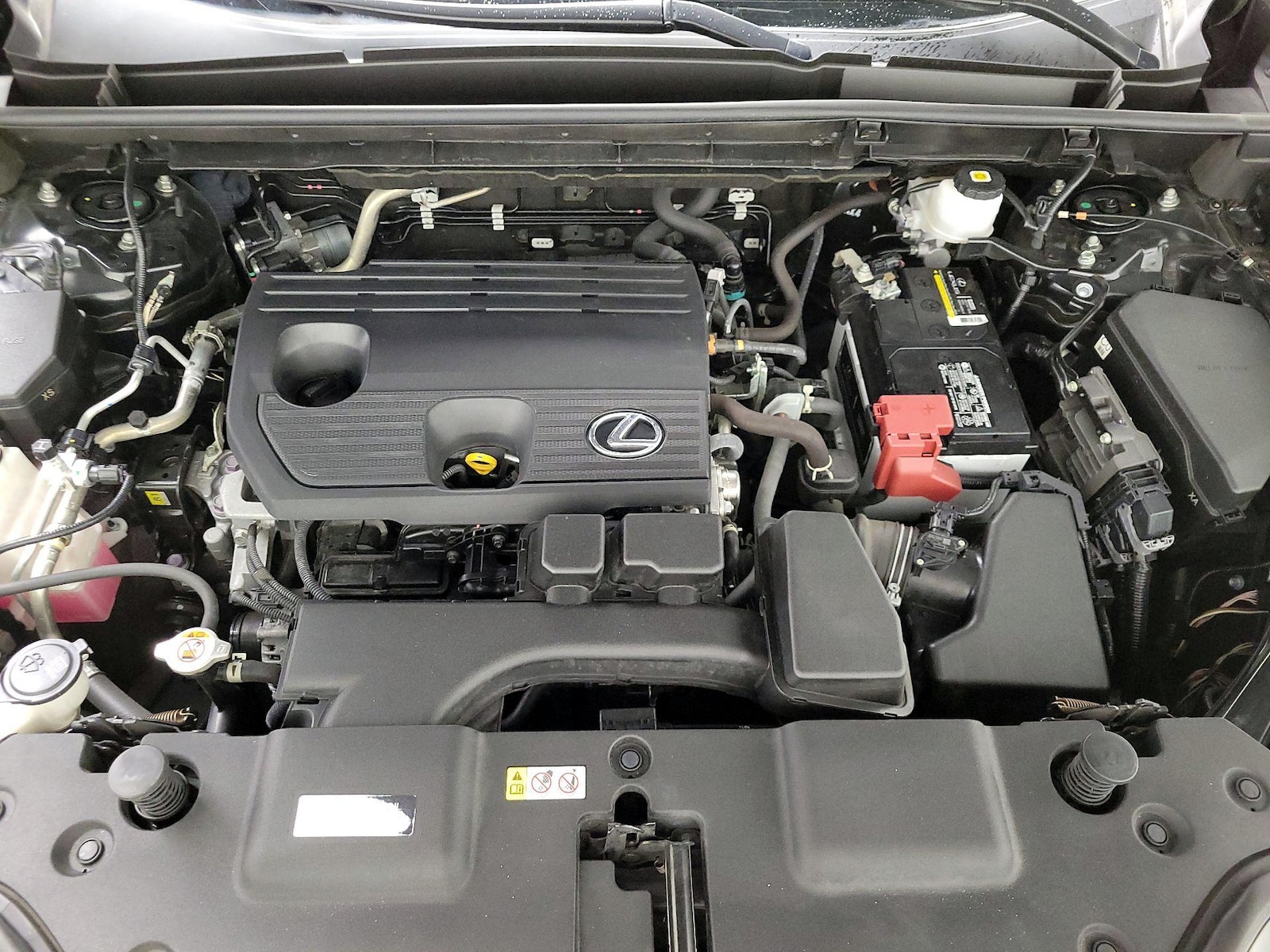 2023 Lexus NX 250 - Photo 23
