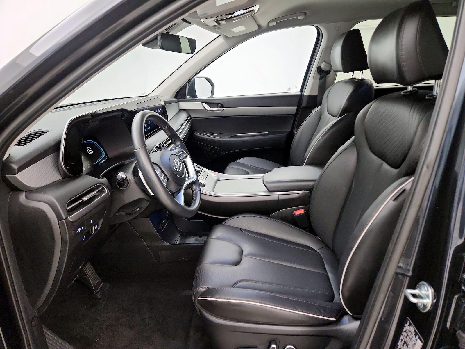 2025 Hyundai Palisade SEL - Photo 12