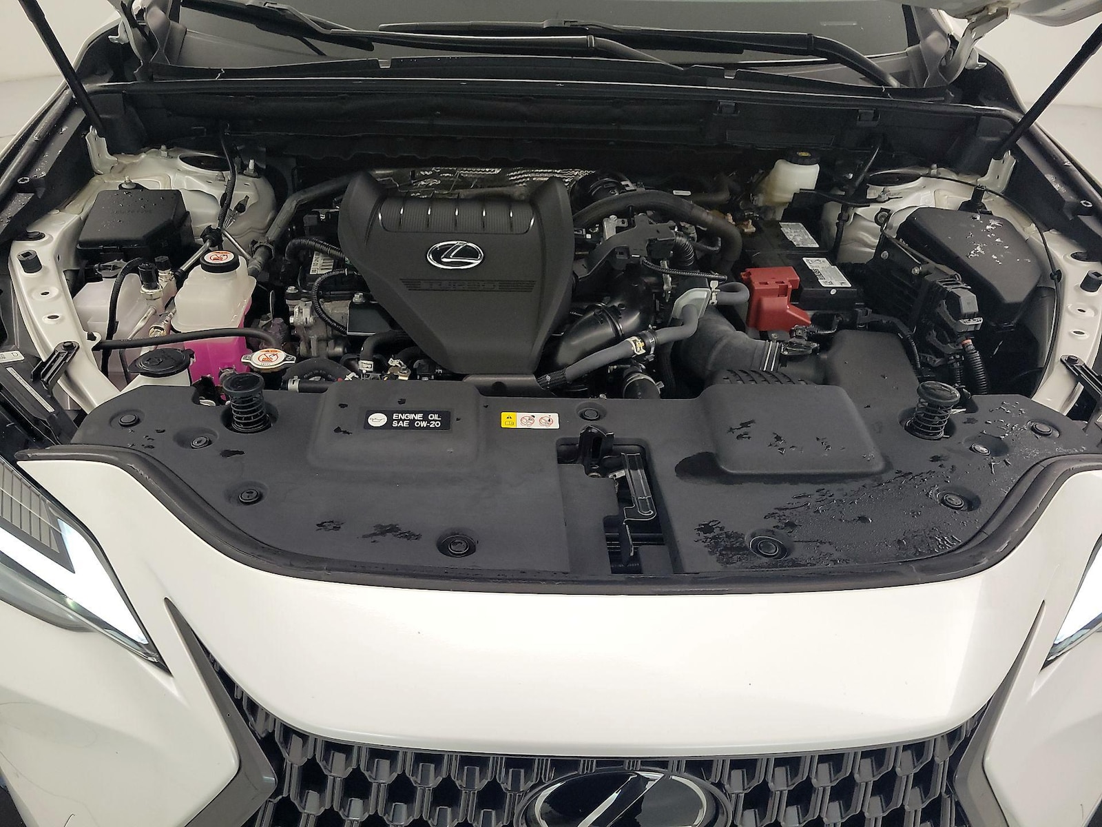 2024 Lexus NX 350 - Photo 24