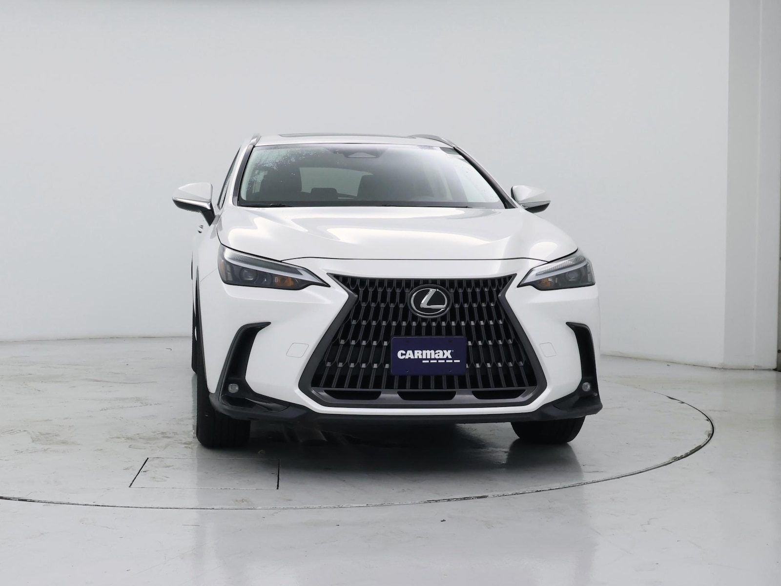 2024 Lexus NX 350 - Photo 6
